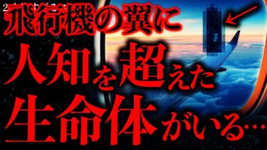 【進化したまーくん】【マジで謎すぎる話まとめ24】飛行機の翼に人間の理解を超えた生命体がいるんだがマジで何これ…【2ch怖いスレ】【ゆっくり解説】