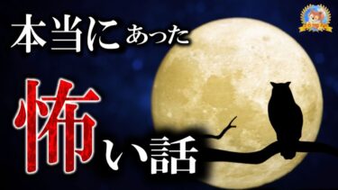 【怪談YouTuberルルナル】ほん怖放送おめでとう！【恐怖】 ほんとうにあった怖い話 【怪談,睡眠用,作業用,朗読つめあわせ,オカルト,ホラー,都市伝説】