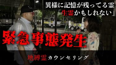 【七四六家】いつものようにたたずむ幽霊の話を聞こうとしたら、だんだんと話の脈絡がなくなり、まさかの事態に…。【地縛霊カウンセリング】