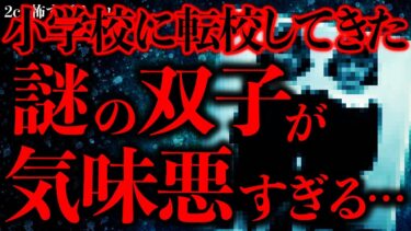 【進化したまーくん】【不気味な体験まとめ27】小学校の時に転校してきた双子の姉妹…マジで君が悪くて怖いんだが…【2ch怖いスレ】【ゆっくり解説】