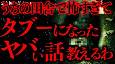 【進化したまーくん】【田舎•集落の怖い話まとめ24】俺の住んでた田舎で”タブーになった”この話…本気で怖すぎる…【2ch怖いスレ】【ゆっくり解説】