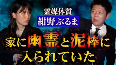 【島田秀平のお怪談巡り】【怪談だけお怪談】紺野ぶるま “家に泥棒と幽霊に入られていた!?”※切り抜きです『島田秀平のお怪談巡り』