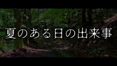 【ゆっくり怪談】夏のある日の出来事【ゆっくりホラーオーディオドラマ/ゆっくり怪談】