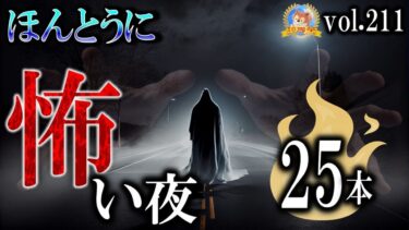 【怪談YouTuberルルナル】【怖い話】 ほんとうに怖い夜 Vol 211【怪談,睡眠用,作業用,朗読つめあわせ,オカルト,ホラー,都市伝説】