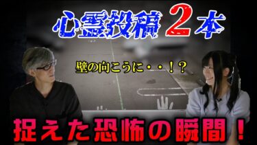 【ホラーチャンネル】【心霊投稿２本！】日常に巣食う理解不能な存在が映り込んだ恐怖の映像！怪談DJ響洋平氏と心霊アイドルりゅうあ氏のコメントつき！