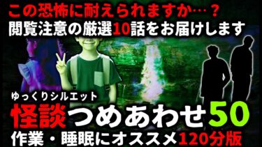 【ゆっくりシルエット】【怖い話】怖すぎてごめんなさい…怖い話２時間つめあわせパート50【ゆっくり】