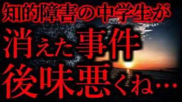 【怖い話まとめch】【後味の悪い話まとめ5】知的障害の中学生が行方不明になったこの事件、真相が後味悪い…他【短編7話】