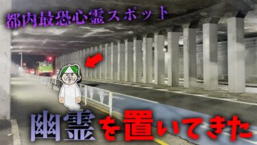 【七四六家】心霊スポットに幽霊を置いてきたら、まさかの事態になったんだが…【心霊】