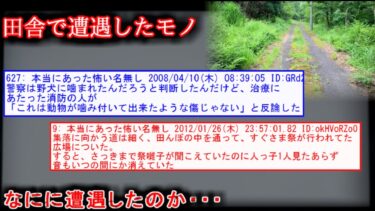 【2ch怖噺】【2ch怖い話】田舎で遭遇したナニか・・・【ゆっくり】