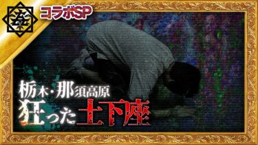 【ナナフシギ】【※自己責任】那須高原に眠る祟り…廃人必須の怨霊の正体【最恐ウィークゲスト：DJ響洋平】