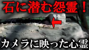 【ホラーチャンネル】【投稿心霊映像】石に潜む怨霊！カメラに映った心霊