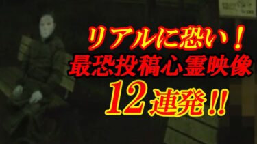 【ホラーチャンネル】【期間限定配信】リアルに怖い！最恐投稿心霊映像12連発！