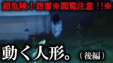 【ホラーチャンネル】【心霊映像・検証】超危険！怨霊※閲覧注意!!※動く人形。（後編）