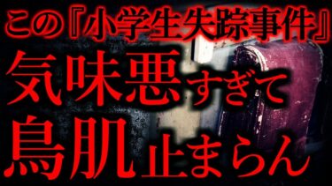 【怖い話まとめch】【気味が悪いまとめ29】この『女子小学生失踪事件』、気味が悪すぎて鳥肌が止まらないんだが…他【短編6話】