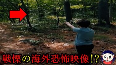 【恐怖映像紹介チャンネル】【心霊＆恐怖動画】誾千代が贈る怖い映像（2024/8/17)