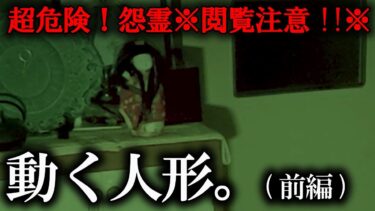 【ホラーチャンネル】【心霊映像・検証】超危険！怨霊※閲覧注意!!※動く人形。（前編）