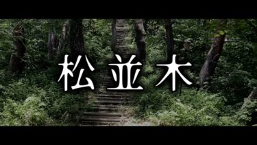 【ゆっくり怪談】松並木【ゆっくりホラーオーディオドラマ/ゆっくり怪談】