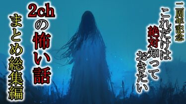 【ゆっくり肝試しch】【怖い話】怖い話好きなら絶対知押さえておきたい2ch・5chの怖い話総集編『絶対に聞いておきたい怖い話まとめ10選』2ch・5ch怖い話