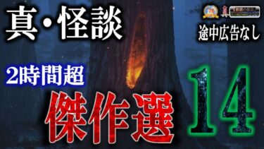 【怪談YouTuberルルナル】途中広告なしの２時間超！【怖い話】 真・傑作選 14【怪談,睡眠用,作業用,朗読つめあわせ,オカルト,ホラー,都市伝説】