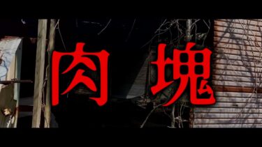 【ゆっくり怪談】肉塊【ゆっくりホラーオーディオドラマ/ゆっくり怪談】