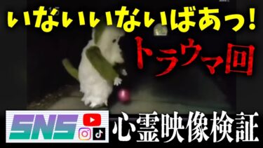 【七四六家】霊が視える人と子供向け番組「いないいないばぁ！」の激怖トラウマ回の映像を見た結果、子供たちと一緒にトラウマになってそうな霊の姿が…【SNS心霊映像検証】