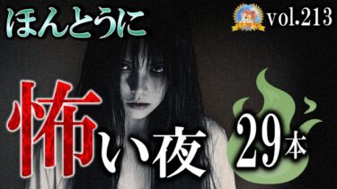 【怪談YouTuberルルナル】２時間オーバー！【怖い話】 ほんとうに怖い夜 Vol 213【怪談,睡眠用,作業用,朗読つめあわせ,オカルト,ホラー,都市伝説】