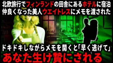 【ゆっくりシルエット】【怖い話】フィンランドの田舎にあるホテルに滞在。仲良くなったウエイトレスにメモを渡されたが…【ゆっくり】