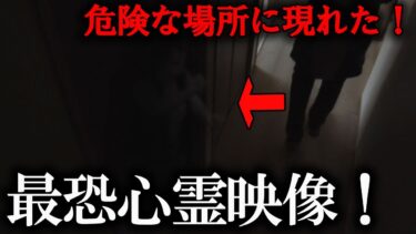 【ホラーチャンネル】【地縛霊】危険な場所に現れた！最恐心霊映像！