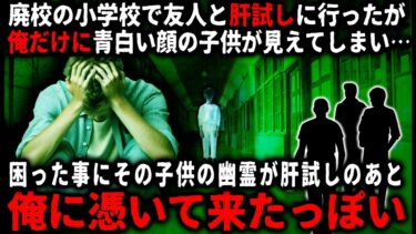 【ゆっくりシルエット】【怖い話】廃校への肝試し以降、なぜか俺に憑いてきた子供の霊…「見ててね」と俺に話しかけるようになり…【ゆっくり】