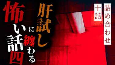 【りっきぃの夜話】【怪談朗読】肝試しに纏わる怖い話その四 十話詰め合わせ【りっきぃの夜話】