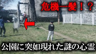 【ホラーチャンネル】【心霊投稿映像】危機一髪！？公園に突如現れた謎の心霊！