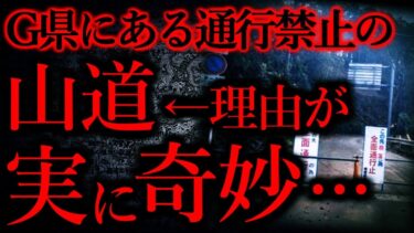 【怖い話まとめch】【世にも奇妙な体験まとめ97】Ｇ県の山中に通行禁止にされている山道がある。その理由が実に奇妙…【短編5話】