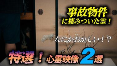 【ホラーチャンネル】【特選！心霊映像２選】事故物件に棲みついた霊！映ってしまった禍々しい姿！