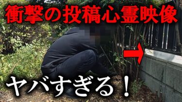 【ホラーチャンネル】【投稿心霊動画】衝撃の投稿心霊映像！ヤバすぎる！