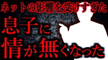 【怖い話まとめch】【人間の怖い話まとめ332】ネットに影響されすぎた息子がキツすぎて情が無くなった…他【短編4話】