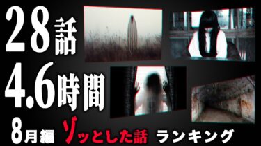 【ごまだんごの怪奇なチャンネル】【怖い話】2024年8月 ゾッとした話ランキング【怪談/朗読つめあわせ】