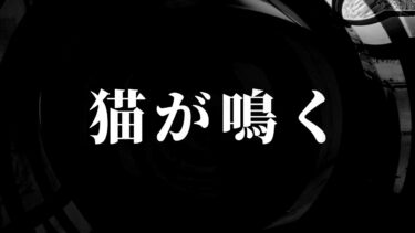 【怪談朗読】【怪談】猫が鳴く【朗読】