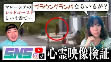 【七四六家】霊が視える人と一緒にマレーシアのレッドゴーストの映像を見たら、ブラウングランパとか言い出した【SNS心霊映像検証】