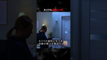 【ごまだんごの怪奇なチャンネル】カメラも認識する影　#ホラー #horror