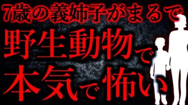 【怖い話まとめch】【人間の怖い話まとめ326】義姉に子を預かってと言われたけど、野生動物レベルなので死んでも無理…他【短編5話】