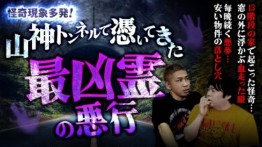 【ナナフシギ】【怖い話】山神トンネルで憑いてきた最凶霊の悪行…他、恐怖の1時間【怪談】【ナナフシギ】