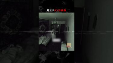 【ごまだんごの怪奇なチャンネル】見てはダメな映像  #ホラー #horror