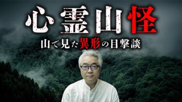 【オカルト大学】【山怪 総集編】山に棲みつく異形の者達の目撃談。幽霊か？山の神か？田中康弘先生が語ります。