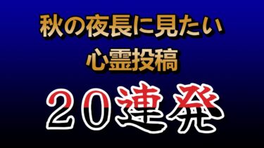 【ホラーチャンネル】【YouTube限定総集編】秋の夜長に見たい心霊投稿20連発