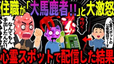 【ハム速報】【ゆっくり怖い話】住職が「大馬鹿者！！」と大激怒→心霊スポットで配信した結果【オカルト】配信手伝い