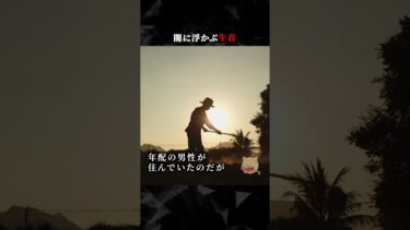 【ごまだんごの怪奇なチャンネル】闇に浮かぶ生首  #ホラー #horror