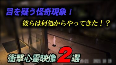 【ホラーチャンネル】【衝撃心霊映像】目を疑う怪奇現象2選！彼らはどこからやってきた！？