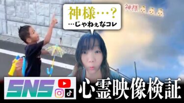 【七四六家】霊が視える人と子供が「神様がいるよ！」と空を指差す動画を見た結果、案の定「たぶん神じゃねぇだろうな」ってヤツがいた【SNS心霊映像検証】