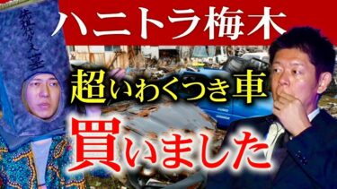 【島田秀平のお怪談巡り】本当にヤバイよ!!!!【ハニトラ梅木】超いわくつき車を所有 トラブル多発 ※やっぱりハロウィンは梅木さん墓川柳など盛りだくさん『島田秀平のお怪談巡り』