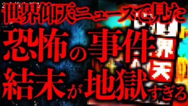 【進化したまーくん】【事件•事故の怖い話まとめ21】「世界仰天ニュース」で放送されたこの事件…怖すぎて鳥肌たった【2ch怖いスレ】【ゆっくり解説】